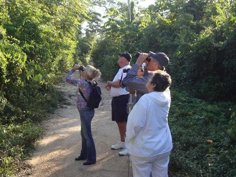 Riviera Maya: Puerto Morelos 4-Hour Bird Watching Tour - What you might see, and why the guide matters