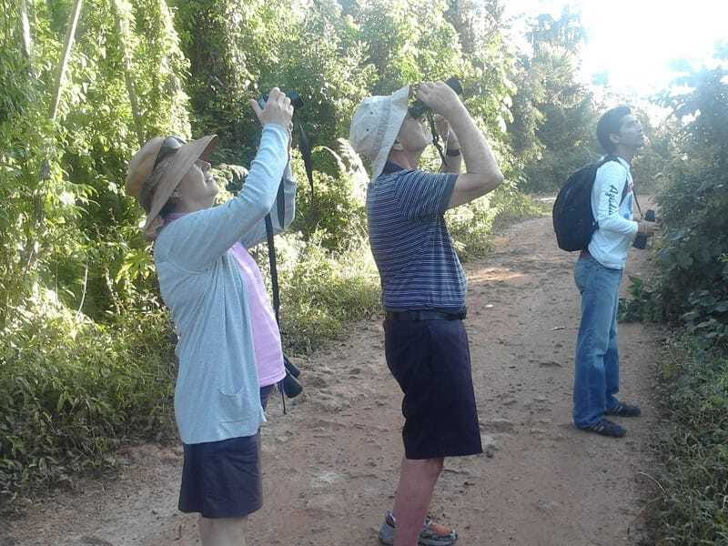 Riviera Maya: Puerto Morelos 4-Hour Bird Watching Tour - Price and value for two people