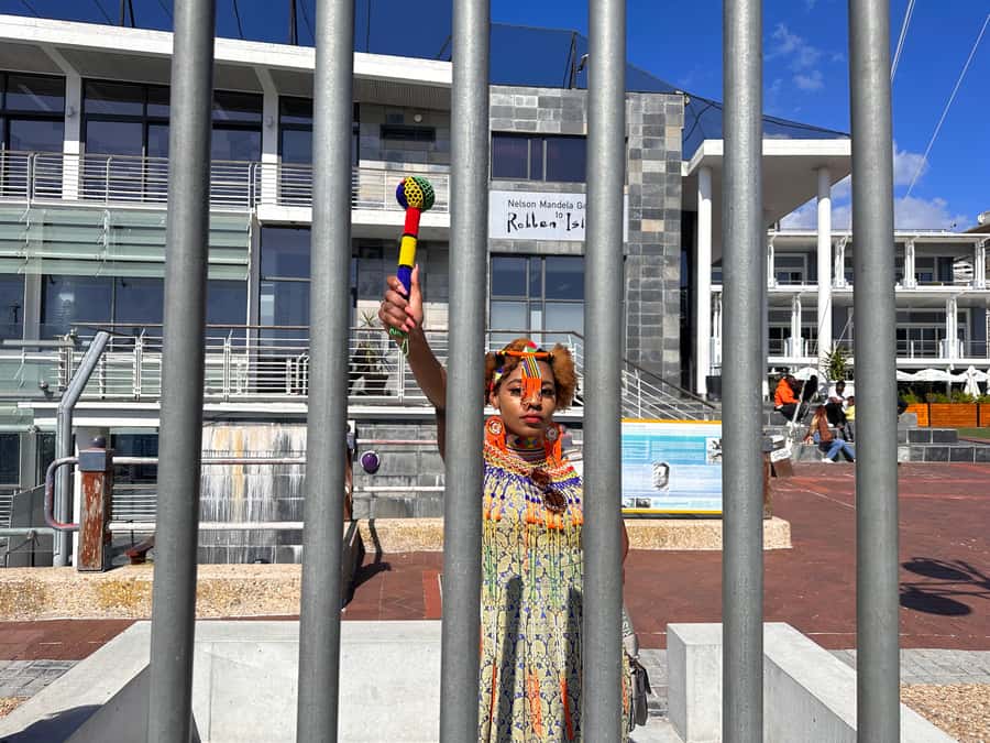 Robben Island Tickets, Penguins, and Private Cape Point Tour - Why the timing deserves close attention