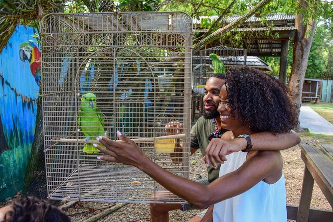 Rockland Bird Sanctuary plus Montego Bay Highlights & Shopping Private Tour - Key points to know before you book