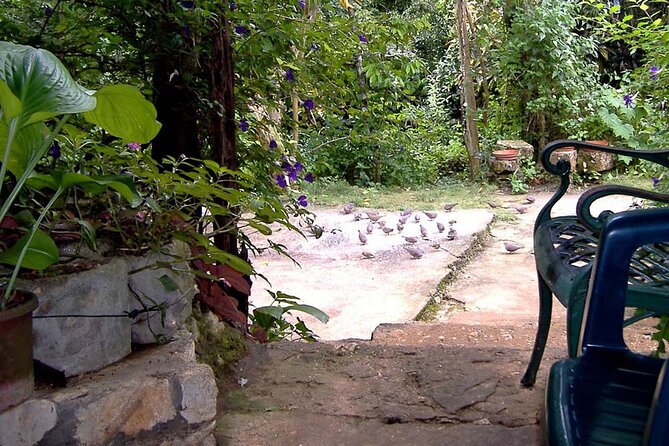 Rockland Bird Sanctuary plus Montego Bay Highlights & Shopping Private Tour - Adding Montego Bay highlights and shopping