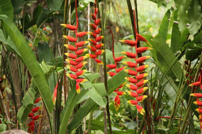 Rockland Bird Sanctuary plus Montego Bay Highlights & Shopping Private Tour - What the three to five hour schedule feels like