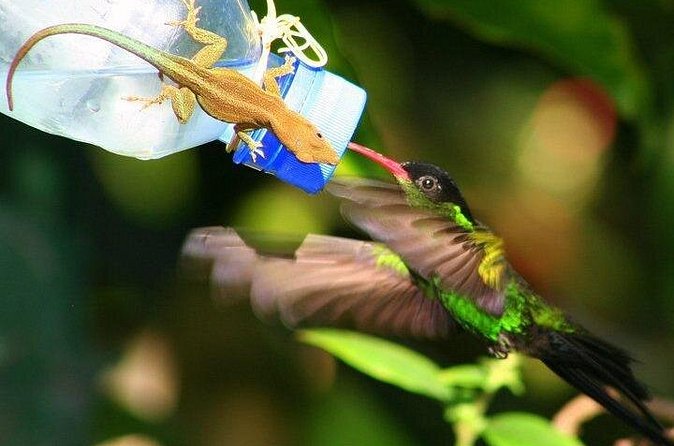 Rockland Bird Sanctuary Private Tour - What makes the private format worth considering