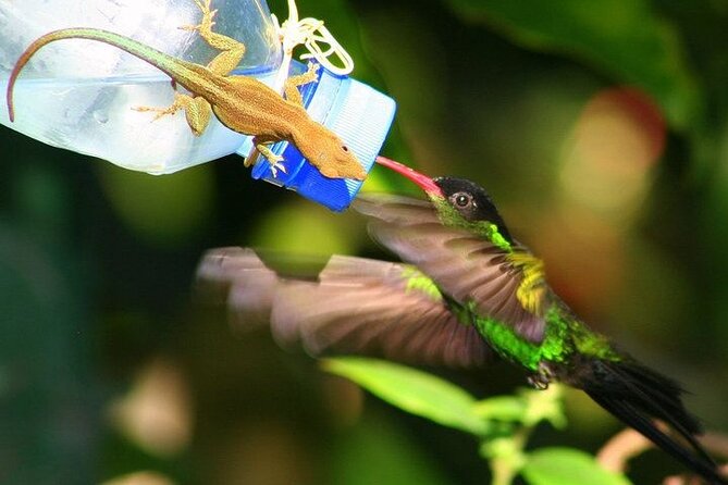 Rockland Bird Sanctuary Private Tour - Who will enjoy this outing most