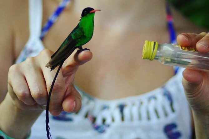 Rockland Bird Sanctuary Private Tour - Weather, timing, and what to bring