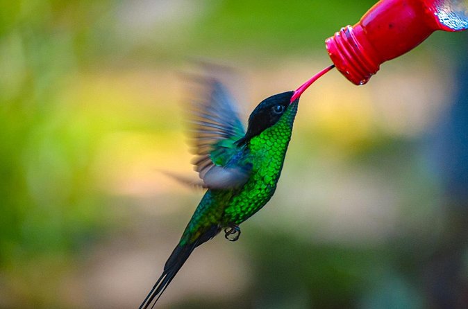Rockland Bird Sanctuary Private Tour - Cancellation and booking details in plain English