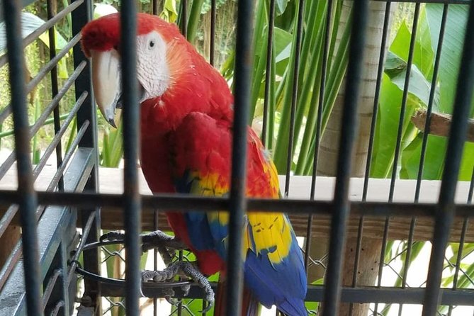 Rockland Bird Sanctuary Private Tour - The best parts, and the limits