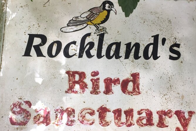 Rockland Bird Sanctuary Private Tour - Feeding the Red-billed Streamertail and Jamaica Mango