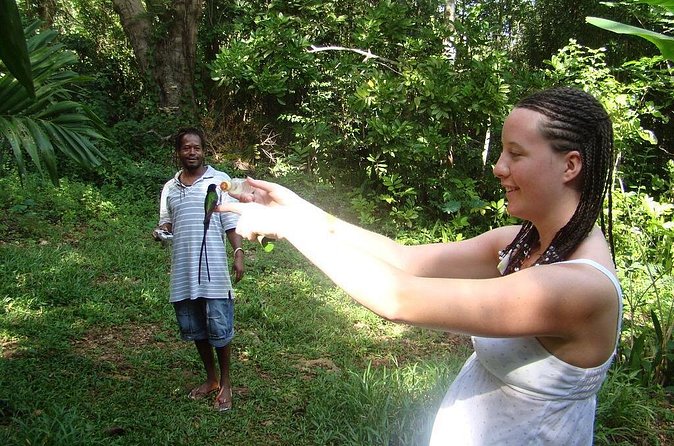Rockland Bird Sanctuary Tour [Transportation] Hotel Pick-Up - Who will enjoy Rockland most?