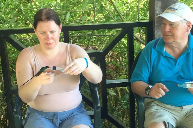 Rockland's Bird Sanctuary Tour from Montego Bay/ Falmouth - The hummingbirds at Rockland Bird Sanctuary