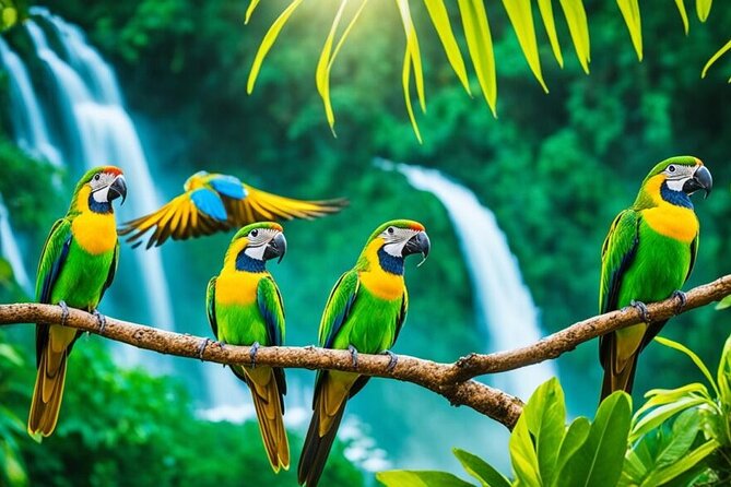 Rockland's Bird Sanctuary Tour from Montego Bay/ Falmouth - Practical details that can affect your day