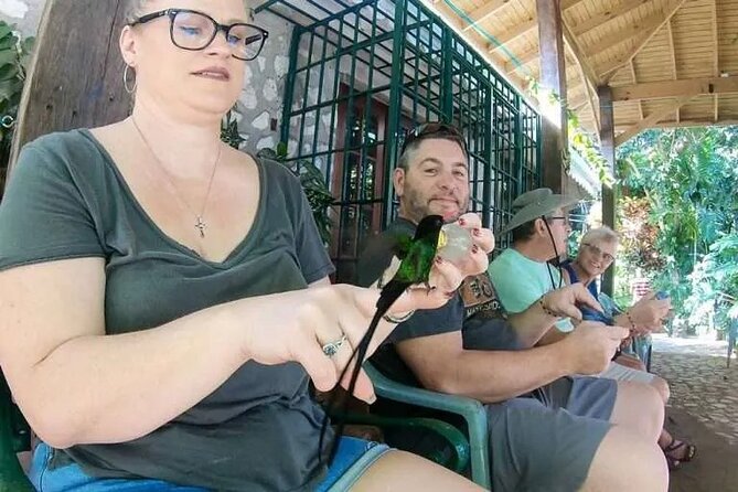 Rockland's Bird Sanctuary Tour from Montego Bay/ Falmouth - What the two-hour visit feels like