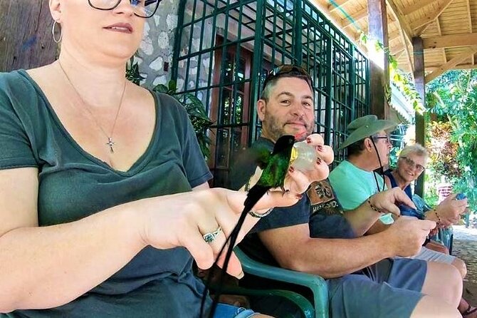 Rocklands Bird Sanctuary and Montego Bay Highlights Tour from Falmouth - The Hip Strip is for shopping, not solitude