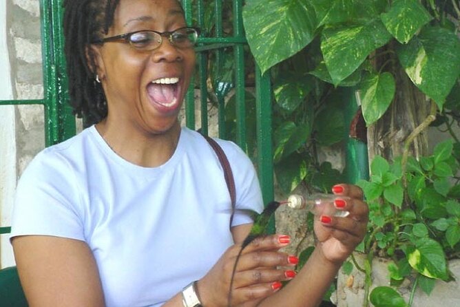 Rocklands Bird Sanctuary & City Highlights plus Shopping from Montego Bay - Key points to know before booking