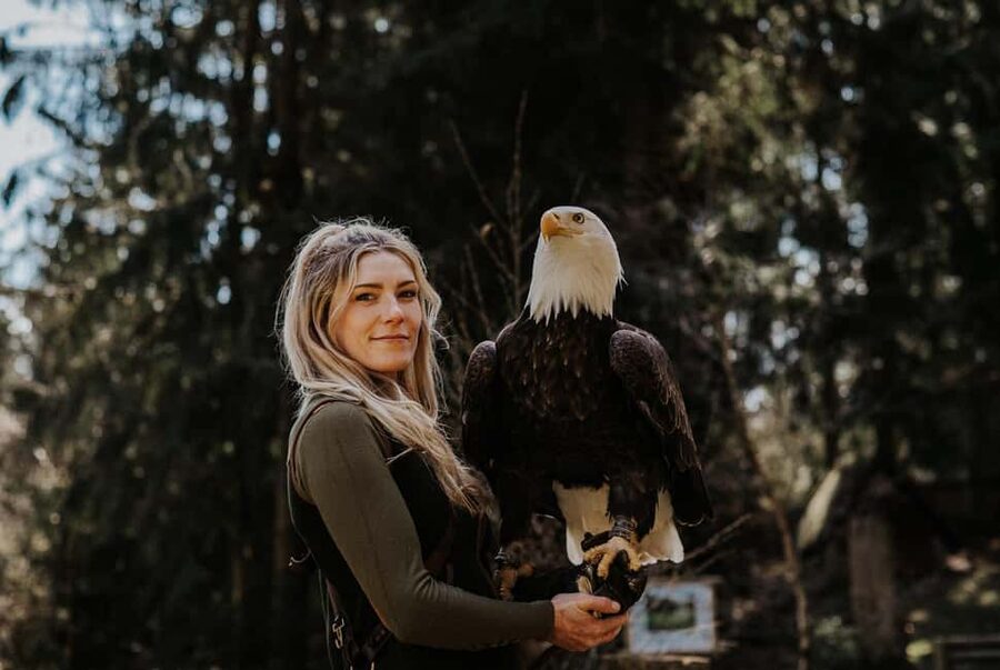 Ruhla: Ticket for a flight show with eagles, owls, and more. - Key points to know before you go