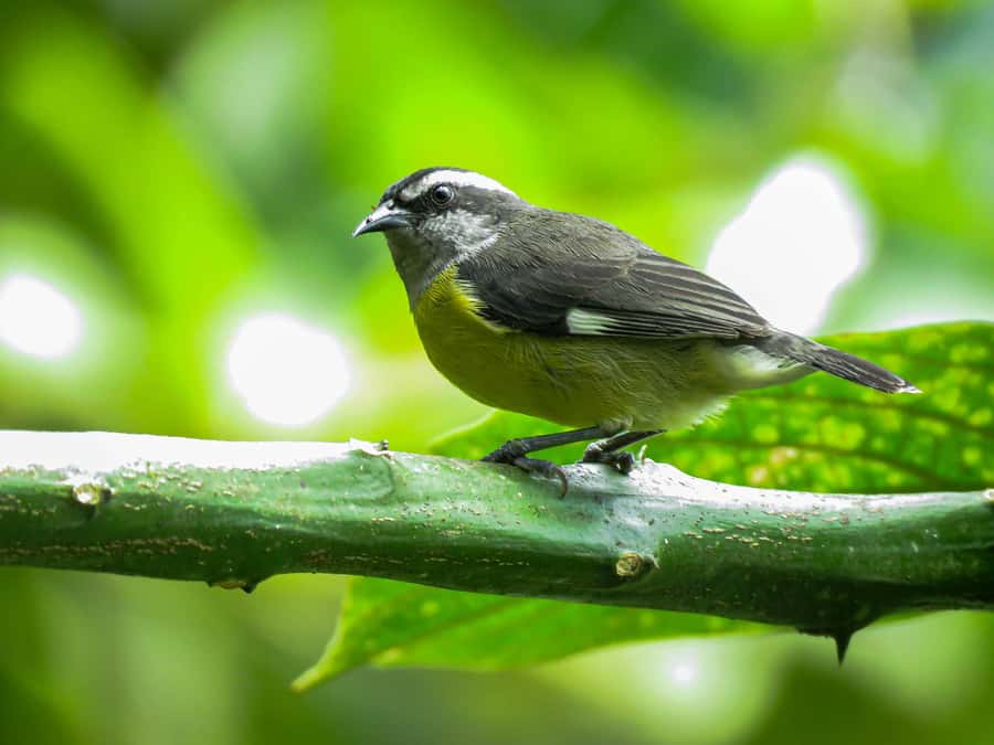 Salento: hike to learn about Birds - Booking flexibility and a few things to confirm