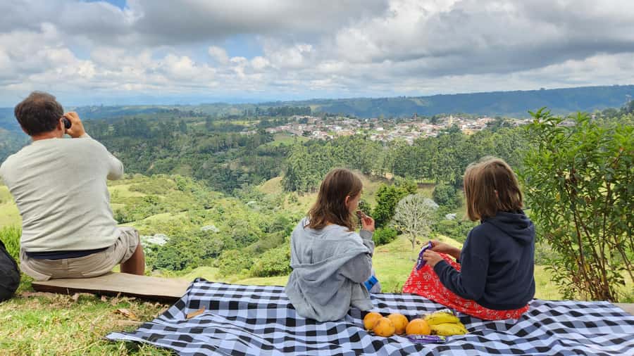 Salento: hike to learn about Birds - Three hours among Motmots, tanagers, and hummingbirds
