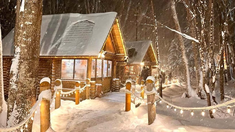 Sapporo Winter : Asahiyama Zoo (Penguin Fun & Snowmobile) - Guides, buses, and what the day feels like