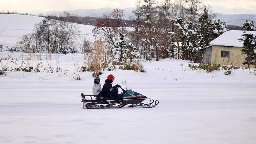 Sapporo Winter : Asahiyama Zoo (Penguin Fun & Snowmobile) - Who should book this tour?