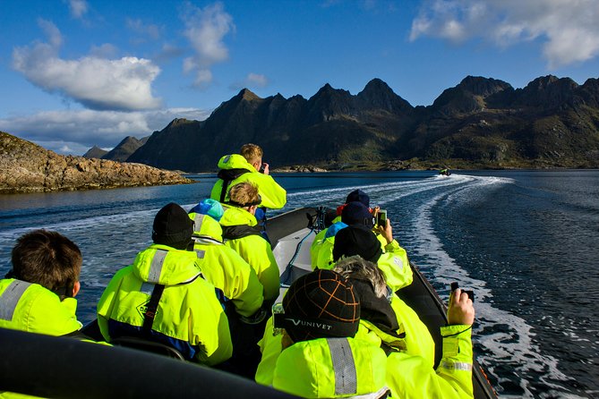 Sea Eagle Safari from Svolvær to Trollfjorden - Watching sea eagles in their natural setting