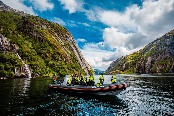 Sea Eagle Safari from Svolvær to Trollfjorden - What the weather means for comfort