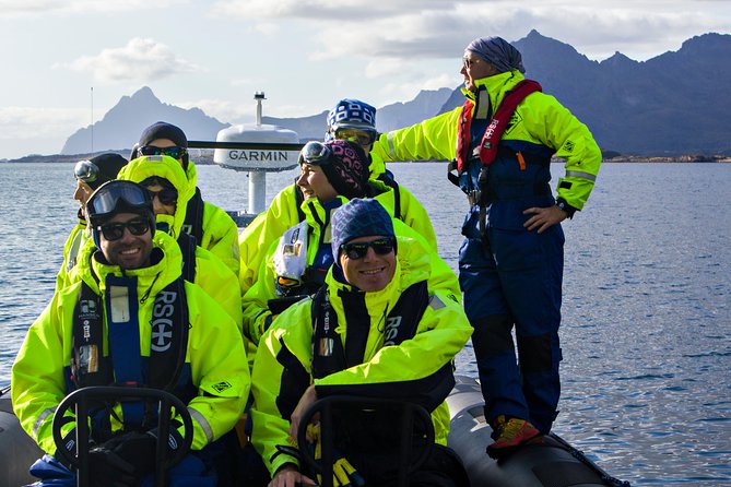 Sea Eagle Safari from Svolvær to Trollfjorden - Is the $156.56 price fair?