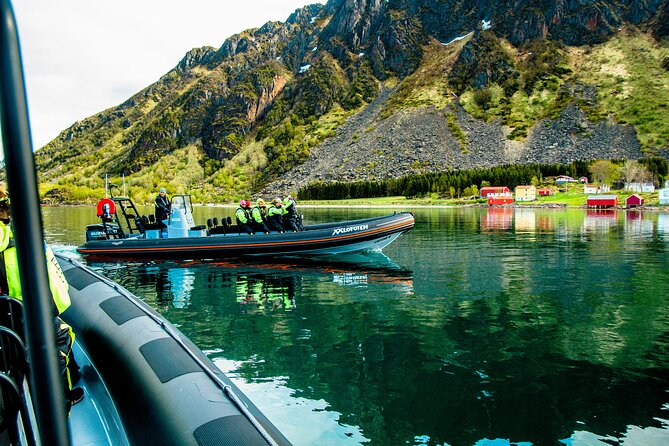 Sea Eagle Safari from Svolvær to Trollfjorden - Timing, language, and cancellation details