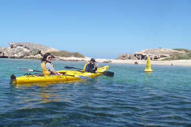 Seal Island and Penguin Island or Point Peron Sea Kayak Tour - Why this Perth kayak trip is worth considering