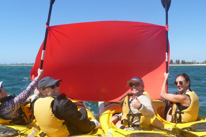 Seal Island and Penguin Island or Point Peron Sea Kayak Tour - Paddling across Shoalwater Bay to Seal Island