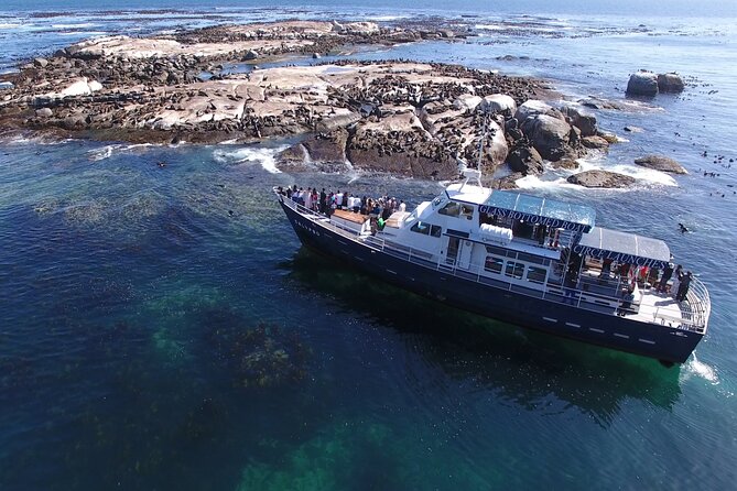 Seal Island,Cape of Good Hope&Penguins Shared Tour,From Cape Town - Chapman’s Peak Drive is a highlight even from the van