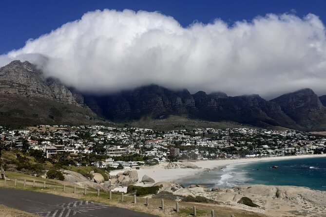 Seal Island,Cape of Good Hope&Penguins Shared Tour,From Cape Town - Boulders Beach is the wildlife star