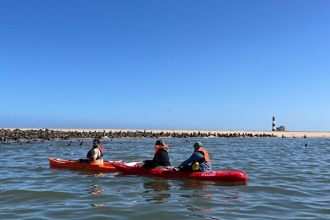 Seal Kayaking at Pelican Point from Swakopmund - Key points to know before booking