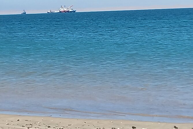 Seal Kayaking at Pelican Point from Swakopmund - Sandwiches, cool drinks, and the ride back