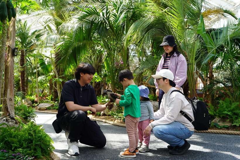 Seoul: Nami Island & Gangchon Rail Bike One Day Tour - What the staff adds to the day
