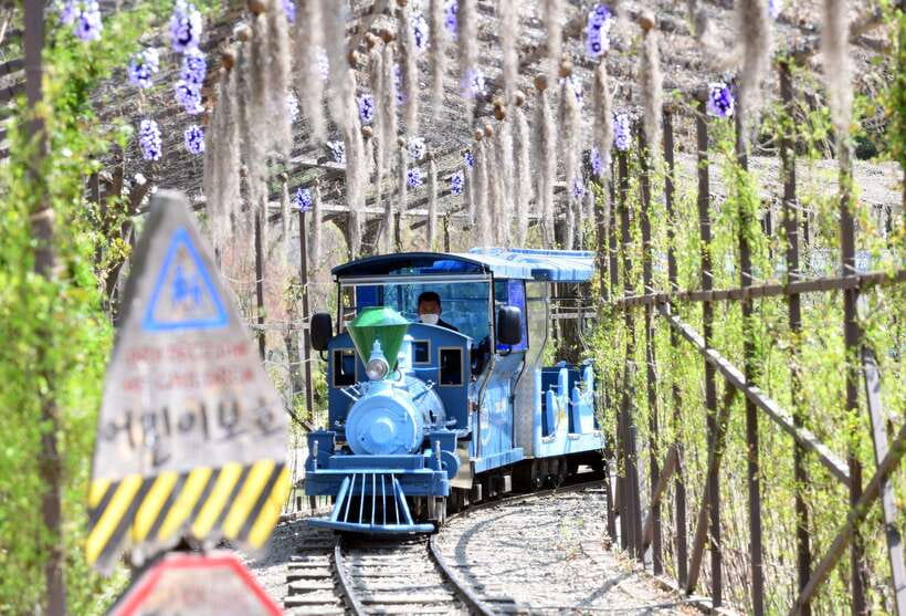 Seoul: Nami Island & Gangchon Rail Bike One Day Tour - Who will enjoy this outing most