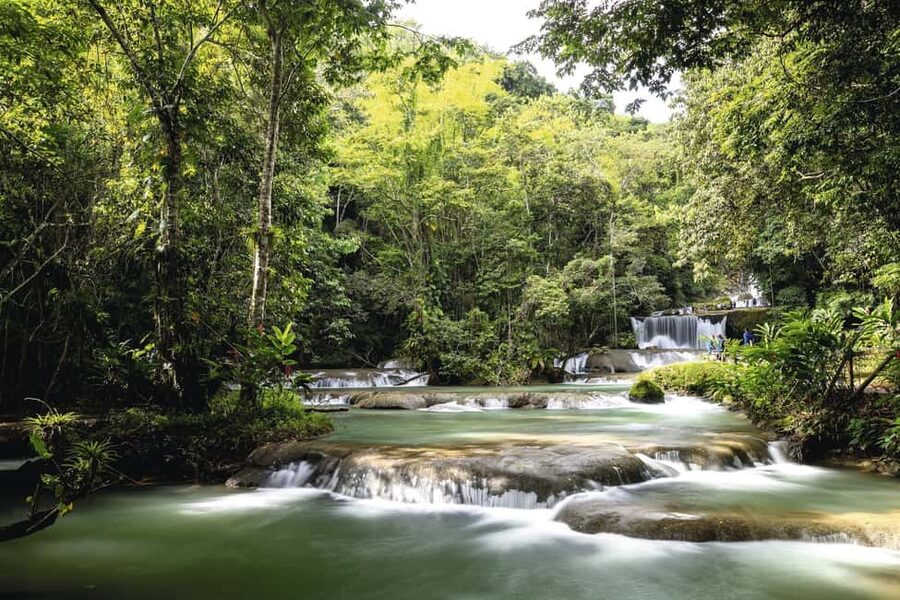 Shared or Private FD Appleton Rum, YS Falls & Pelican Bar - Key points to know before booking