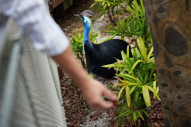 Singapore 3 Park Explorer Pass: Zoo, River Wonders, Bird Paradise - How much can you really see in one day?