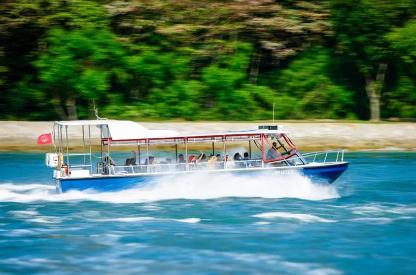 Singapore: Albatross Speedboat Adventures Ticket - Key points to know before you ride