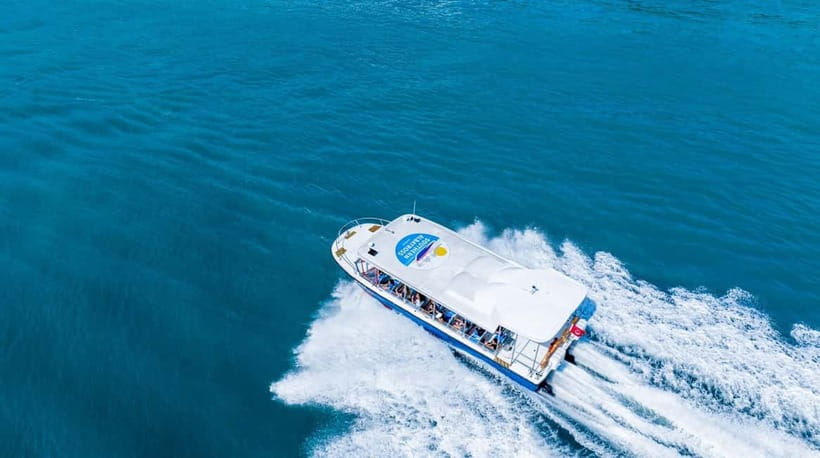 Singapore: Albatross Speedboat Adventures Ticket - Sentosa coastline and the first burst of speed