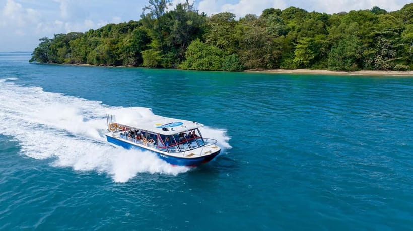 Singapore: Albatross Speedboat Adventures Ticket - Busy port waters and a working view of Singapore