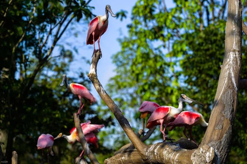 Singapore: Bird Paradise - Why Bird Paradise works as a full-day outing