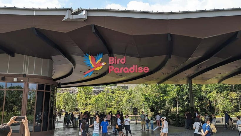 Singapore: Bird Paradise - The colourful wetland aviaries