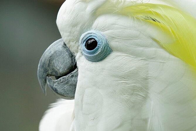 Singapore: Bird Paradise Entry Ticket - Key points to know