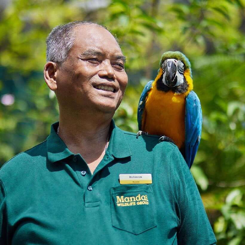 Singapore: Bird Paradise Entry Ticket - How to plan your day for better value