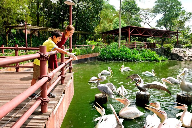 Singapore Bird Paradise & Zoo Full Day (Ticket & Transfer ) - What You Need to Budget During the Day