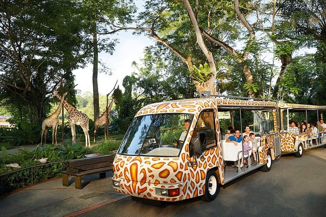 Singapore Bird Paradise & Zoo Full Day (Ticket & Transfer ) - Should You Book the Singapore Zoo and Bird Park Day?