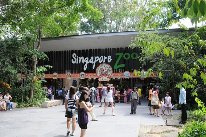 Singapore Bird Paradise & Zoo Full Day (Ticket & Transfer ) - Why Private Hotel Transfers Matter