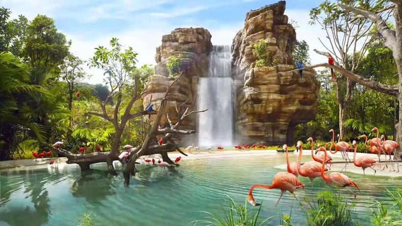 Singapore: Bird Paradise - Bamboo groves, paddy terraces, and Asian birds