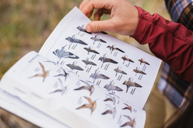Skagit Valley Birding + Deception Pass Day Tour From Seattle - From Skagit Valley birds to Whidbey Island shores