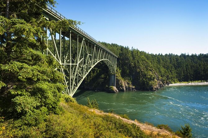 Skagit Valley Birding + Deception Pass Day Tour From Seattle - One hour among Skagit Valley’s winter birds